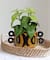 8&#x22; Brown and Black Hand Painted Stoneware Planter with Handles